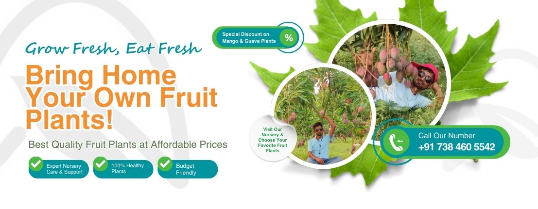 20% off all gardening services! (1)