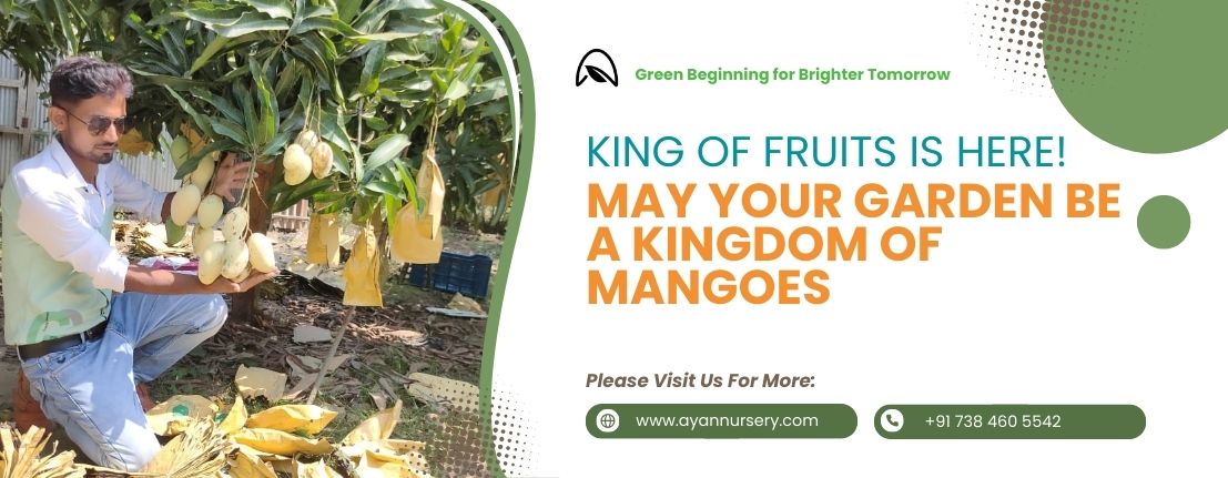 20% off all gardening services! (3)