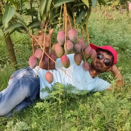 WhatsApp Image 2025-04-26 at 12.19.30_d7fa021a